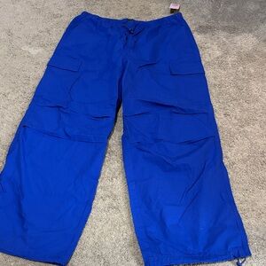 Wild Fable Women’s Vibrant Blue Cargo Pants